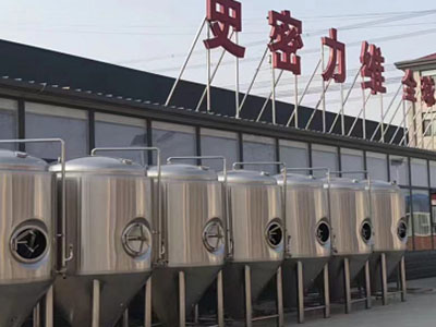 重庆精酿啤酒设备厂—如何判断精酿啤酒设备的密封件需要更换？